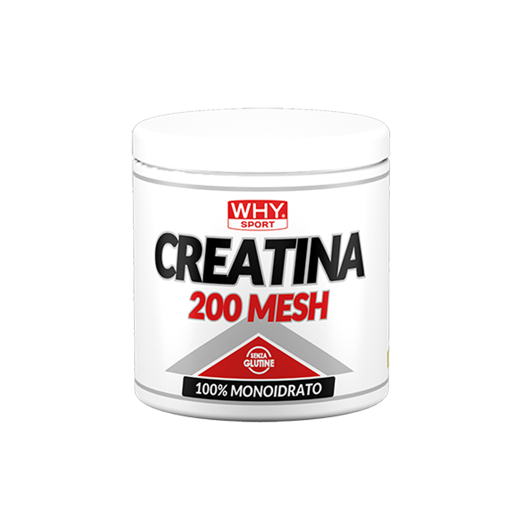 W166_Creatina mesh 200 g_singolo CREATINA 200 MESH 200-500 g – 1 Kg - immagine 1