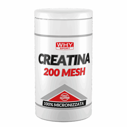 CREATINA 200 MESH 200-500 g – 1 Kg