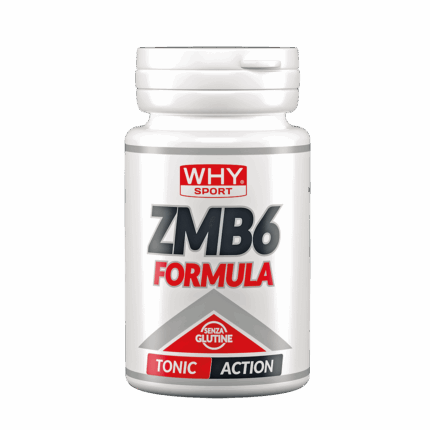 ZMB6 FORMULA 90 cpr