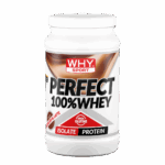 PERFECT 100% WHEY 450 g