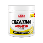 CREATINA 200 MESH AROMATIZZATA 300 g - immagine 3