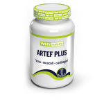 ARTEF PLUS 60 cpr