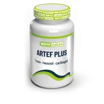 ARTEF PLUS 60 cpr
