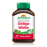 GINKGO BILOBA 90 cpr
