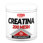 CREATINA 200 MESH 200-500 g – 1 Kg