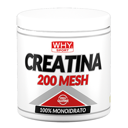 w166-1784678642.webp CREATINA 200 MESH 200-500 g – 1 Kg - immagine 1