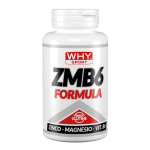 ZMB6 FORMULA 90 cpr
