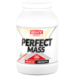PERFECT MASS 1,6 Kg