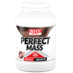PERFECT MASS 1,6 Kg - immagine 2
