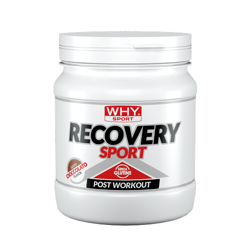 w408-1788252470.webp RECOVERY SPORT CIOCCOLATO 400 g - immagine 1
