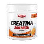CREATINA 200 MESH AROMATIZZATA 300 g