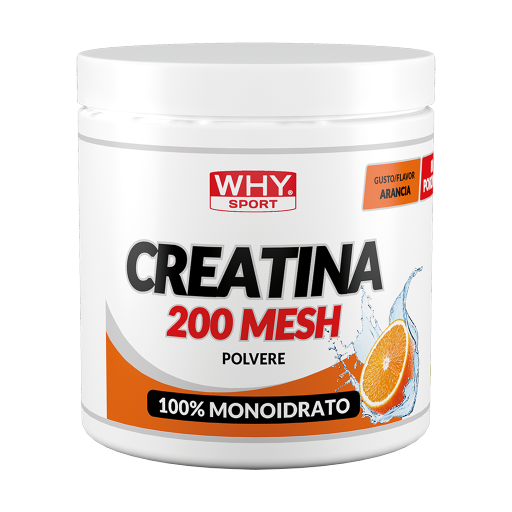 w526-1784679914.webp CREATINA 200 MESH AROMATIZZATA 300 g - immagine 1