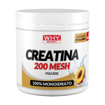 CREATINA 200 MESH AROMATIZZATA 300 g - immagine 4