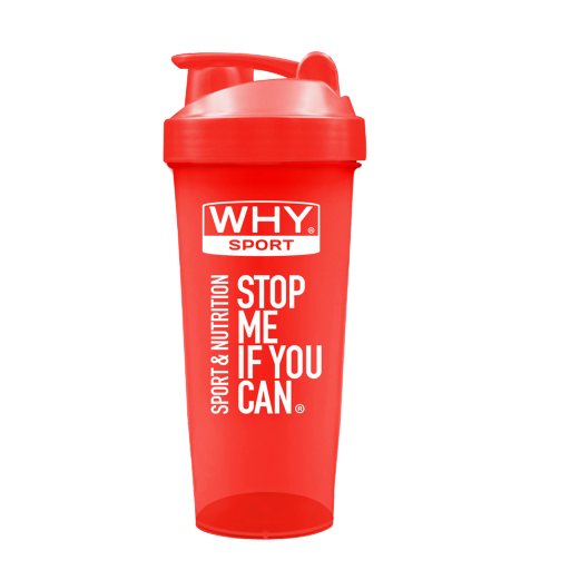 wsx276-1788252515.webp SHAKER WHYsport 600 ml - immagine 1